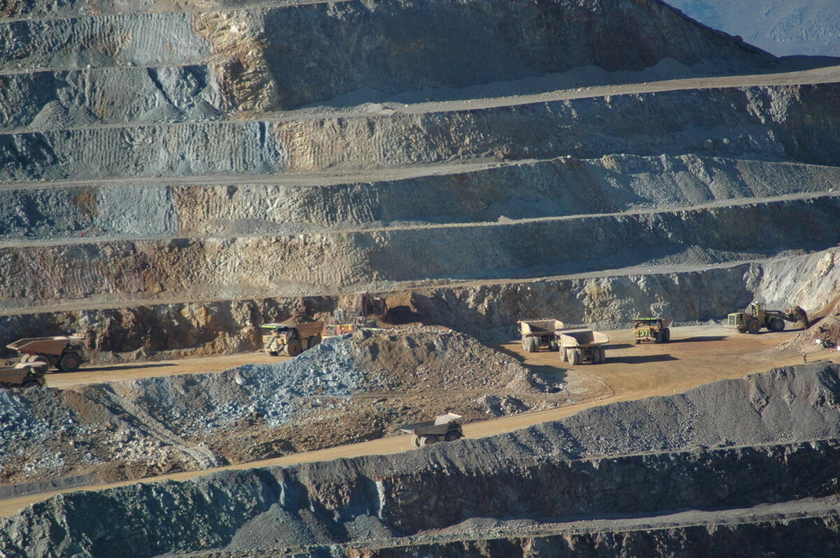 Дружили два Мухтара...