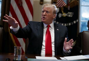 Целился в Байдена,  а попал в себя