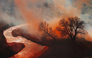 Сейчас снимают все, но некоторые - лучше