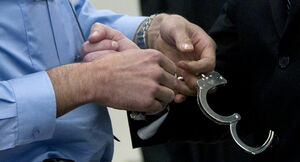 Делим пополам!