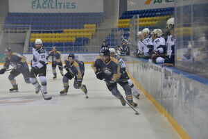 Кто и как  убивал  алматинский хоккей