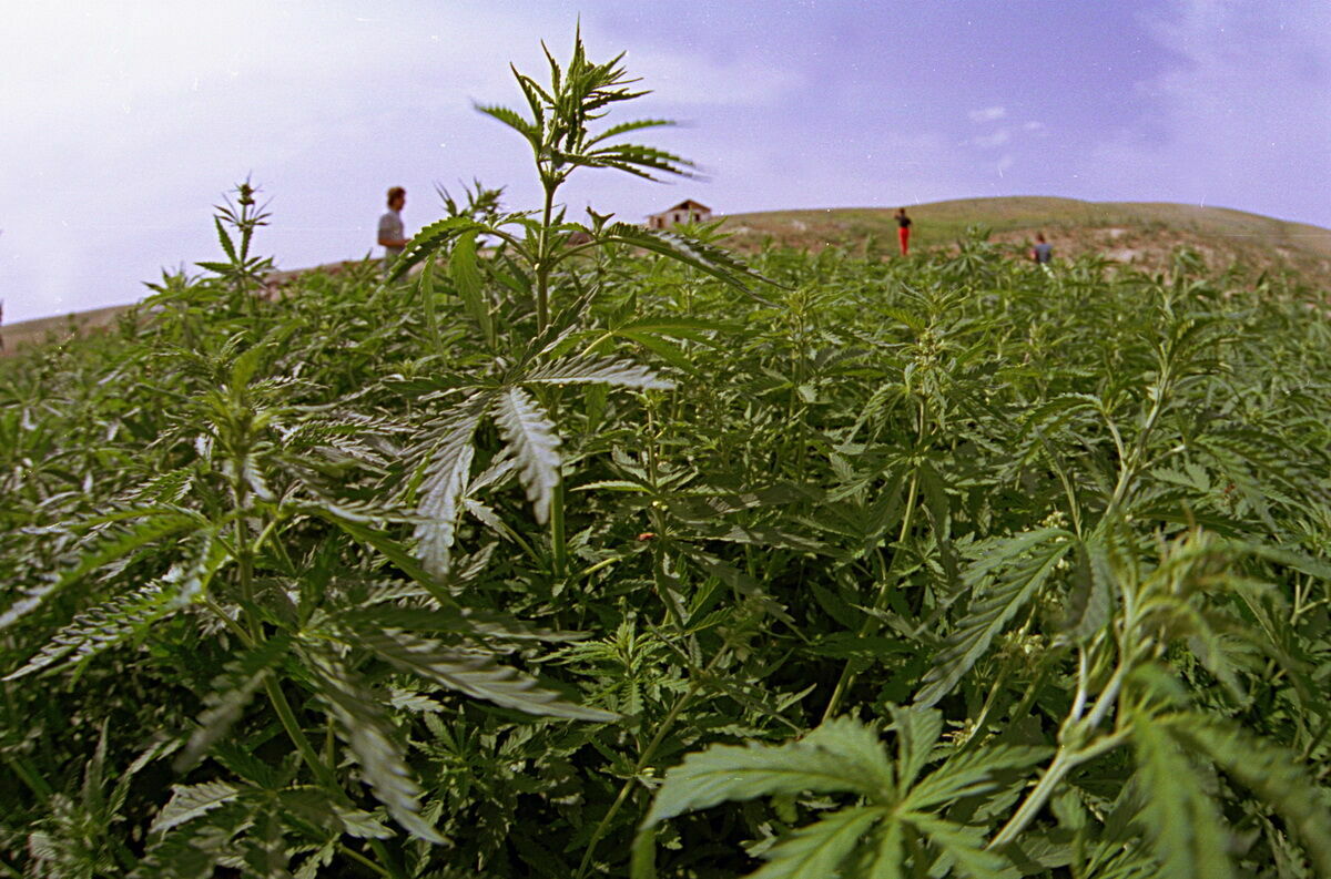 Чей косяк, господа хорошие?