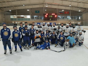 Победа хозяев