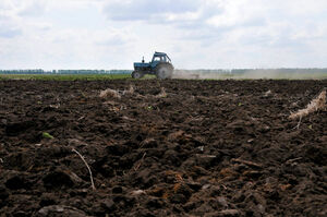 Взять всё да поделить?