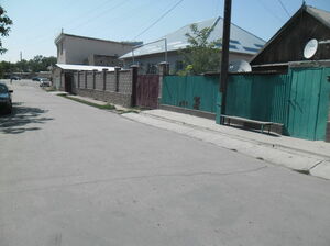 Шальная пуля