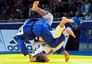 Провал на татами