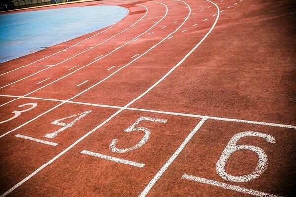 Инспекторская проверка лорда Коэ