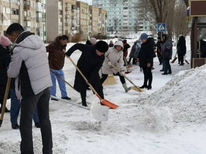 Братство по орудию