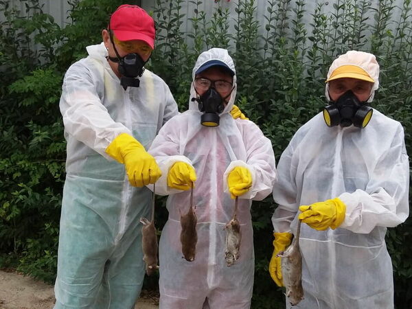 Твари живучие