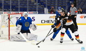 Не стреляйте в хоккеистов