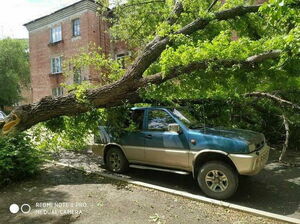 Cантиметры имеют значение