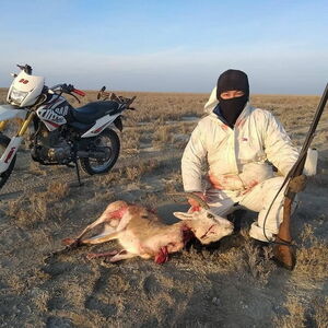 Охота пуще неволи