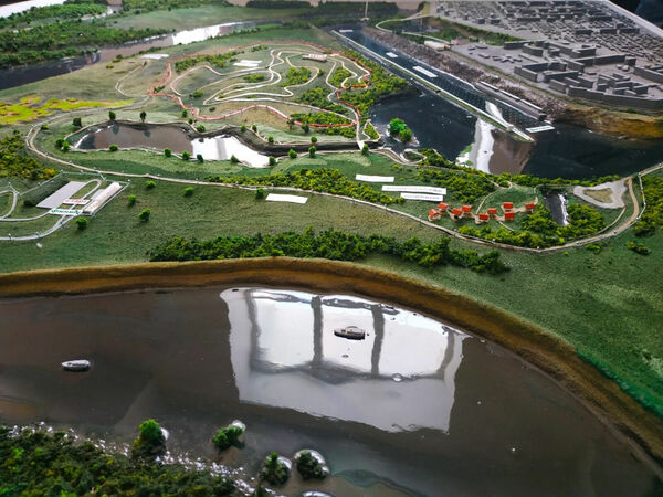 Зимний сухостой