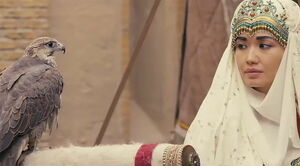 Кино,  понятное  для всех