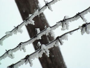 Получил по заслугам