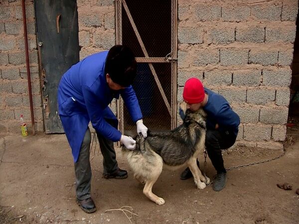 Не торопитесь убивать