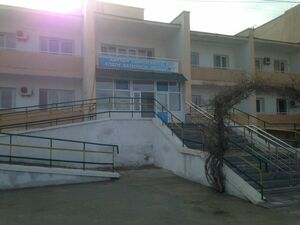 Дорогие мои старики!