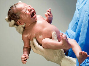 Акушерка на проводе