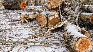 Пять за одно