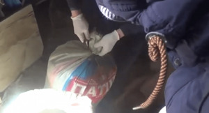 Ружье и крупную партию наркотиков нашли на складе у жителя Жамбылской области