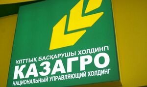 До 95 млрд тенге выросла запрашиваемая на два года сумма на увеличение уставного капитала «КазАгро»
