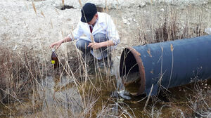 Тревога оказалась ложной