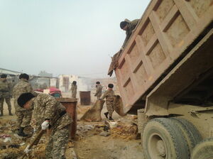 Солдат собаку не обидит