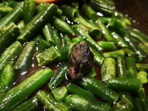 Дохлая мышь - в нагрузку