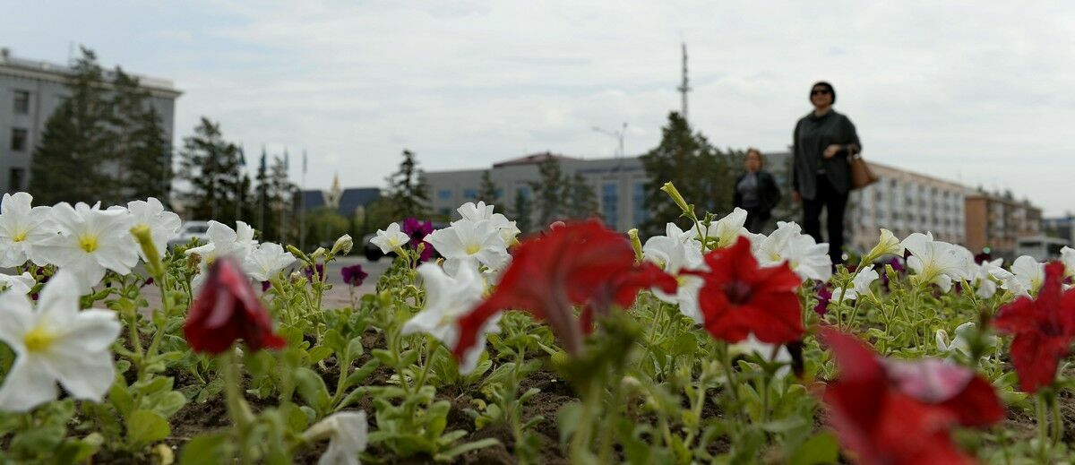 Слишком глубоко копнули