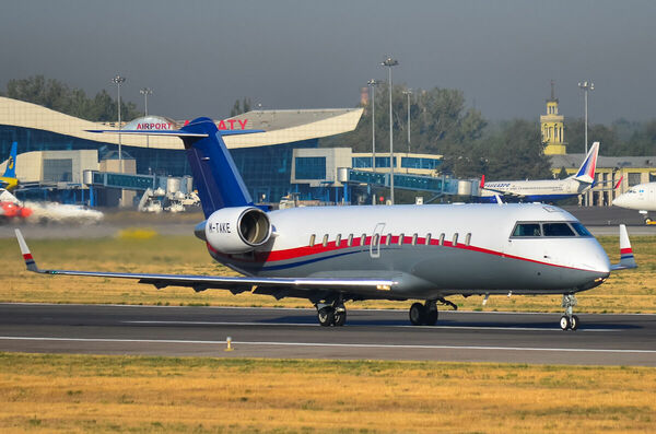 Птица высокого залёта