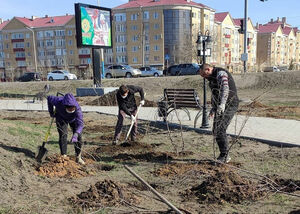 Да будет лес!