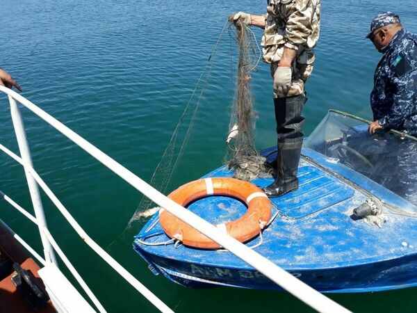 Золотая рыбка