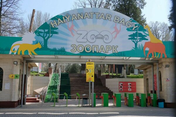 Макак в ожидании красавиц