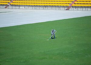 Рады бы на поле, да ЧП не пускает