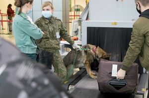 Гордость и предубеждение