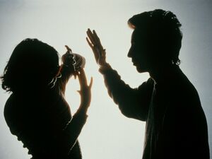 Тормоз  для дебошира