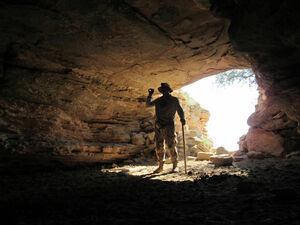 Золото белого генерала