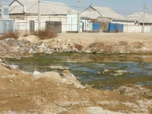 Тоска солёная