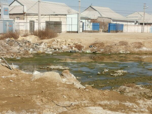 Тоска солёная