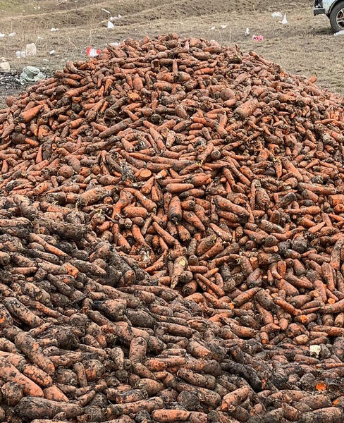 Борщевой детектив