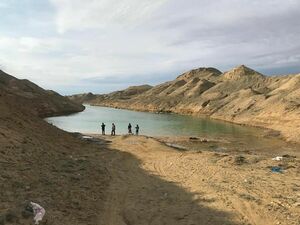 Осторожно: ядовитый водоём