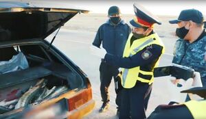 Карантин не помеха