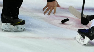 Шутки на льду