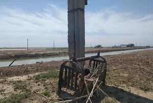 Дармовые деньги зовут в дорогу