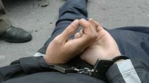 Разбудили на свою голову