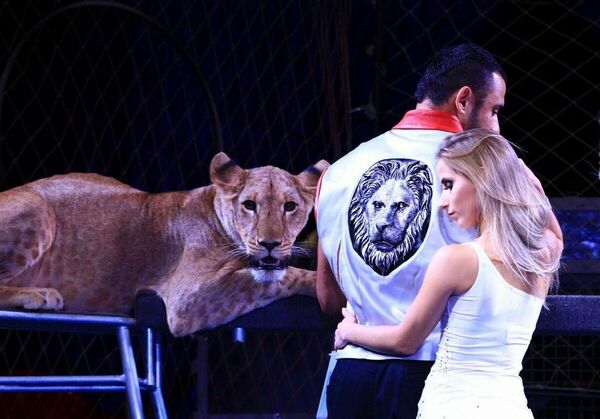 Хищникам мяса не докладывают!