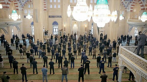 Коронавирус подождёт?