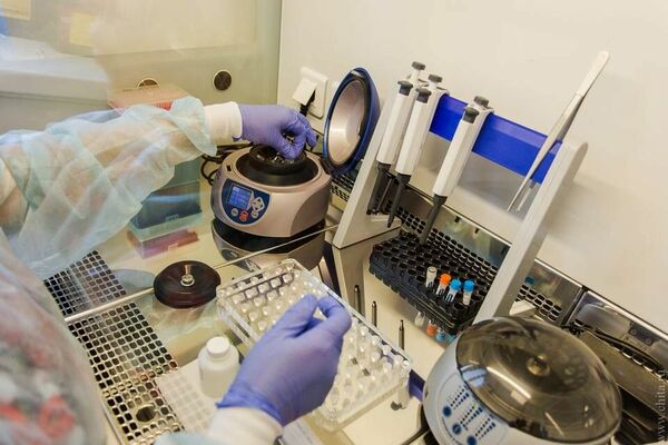 И опыт, сын ошибок трудных