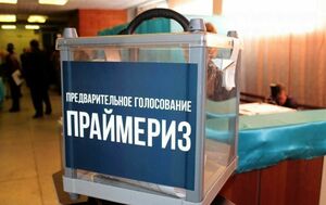 Зачем партии Nur Otan нужны праймериз?