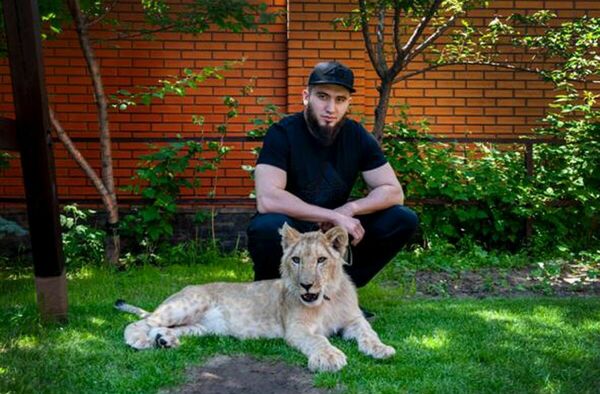 Львиные страсти